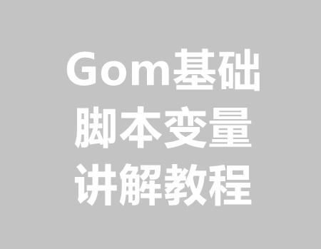Gom脚本变量是什么，基础知识讲解
